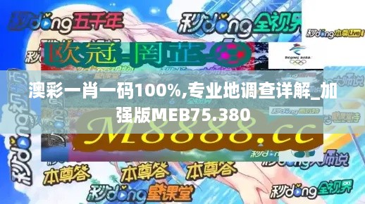 澳彩一肖一码100%,专业地调查详解_加强版MEB75.380