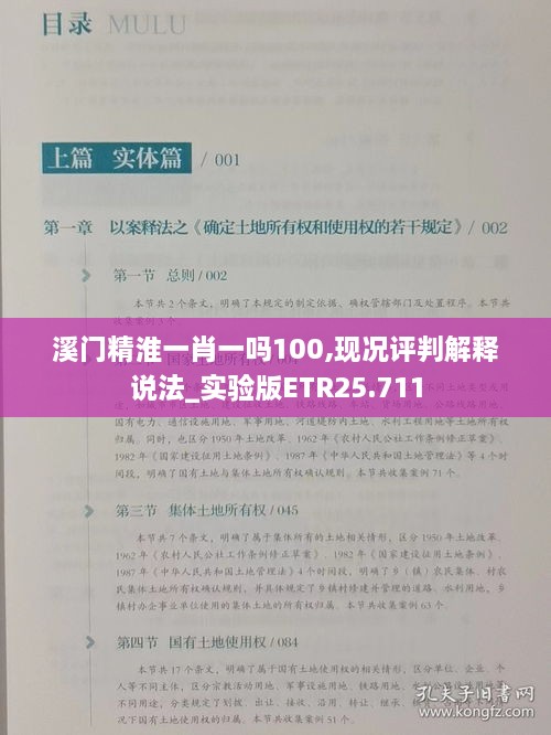 溪门精淮一肖一吗100,现况评判解释说法_实验版ETR25.711