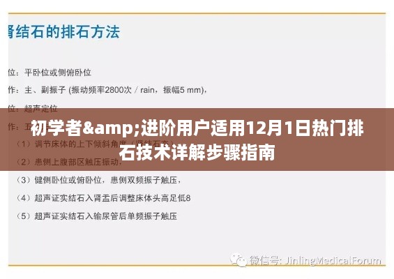 热门排石技术详解步骤指南，适合初学者与进阶用户的排石技术指南（12月更新版）