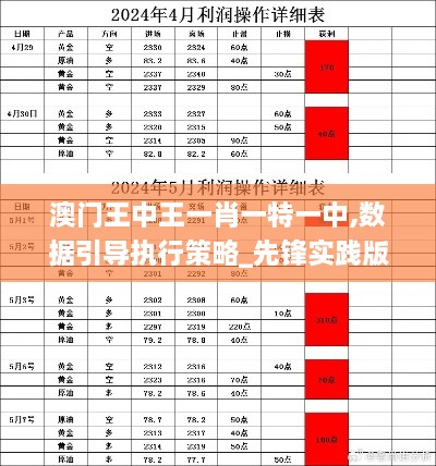 澳门王中王一肖一特一中,数据引导执行策略_先锋实践版MGV65.508