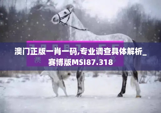 澳门正版一肖一码,专业调查具体解析_赛博版MSI87.318