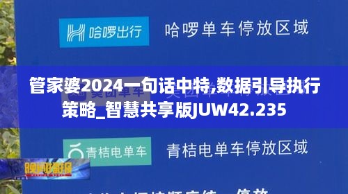 管家婆2024一句话中特,数据引导执行策略_智慧共享版JUW42.235