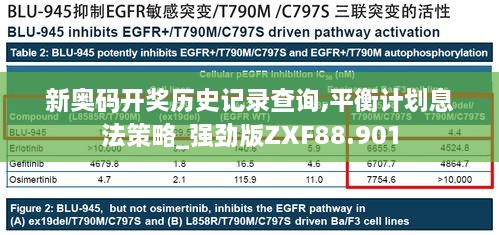 新奥码开奖历史记录查询,平衡计划息法策略_强劲版ZXF88.901