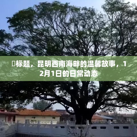 昆明西南海畔的温馨故事，12月1日日常动态纪实