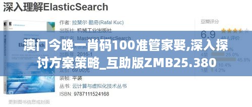 澳门今晚一肖码100准管家娶,深入探讨方案策略_互助版ZMB25.380