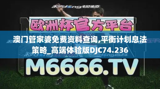 澳门管家婆免费资料查询,平衡计划息法策略_高端体验版DJC74.236