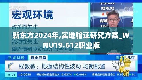 新东方2024年,实地验证研究方案_WNU19.612职业版