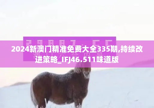 2024新澳门精准免费大全335期,持续改进策略_IFJ46.511味道版