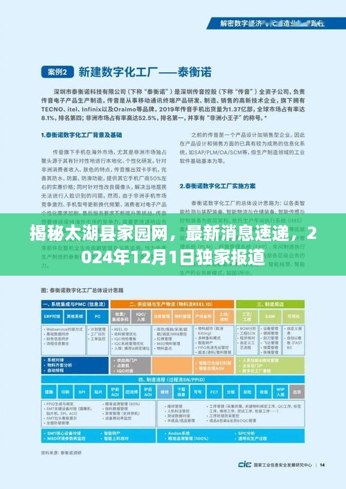 太湖县家园网独家揭秘，最新消息速递，2024年展望报告