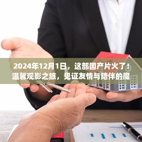 见证魔法时刻，国产影片的友情与陪伴之旅于2024年12月1日火爆上映