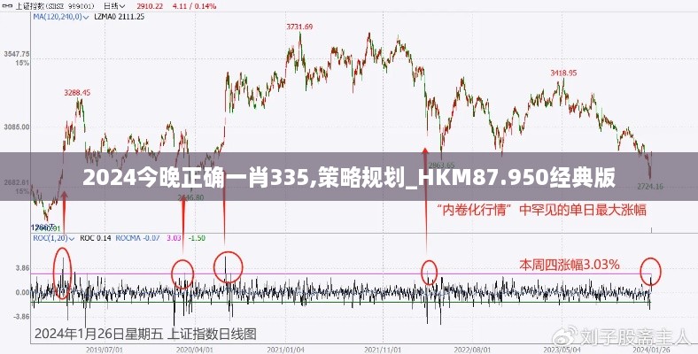 2024今晚正确一肖335,策略规划_HKM87.950经典版