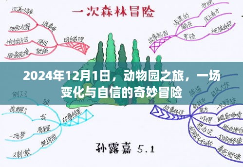 动物园之旅，变化与自信的奇妙冒险（2024年12月1日）