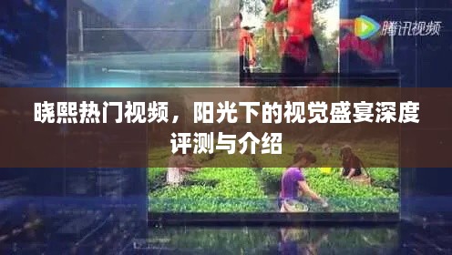 晓熙热门视频，阳光视觉盛宴的深度评测与介绍