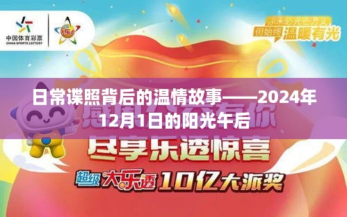 日常谍照背后的温情故事，阳光午后的感动时刻（2024年12月1日）