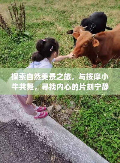 自然之旅，与按摩小牛共舞，寻找内心的宁静时光