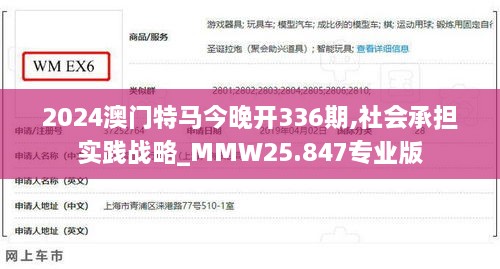 2024澳门特马今晚开336期,社会承担实践战略_MMW25.847专业版