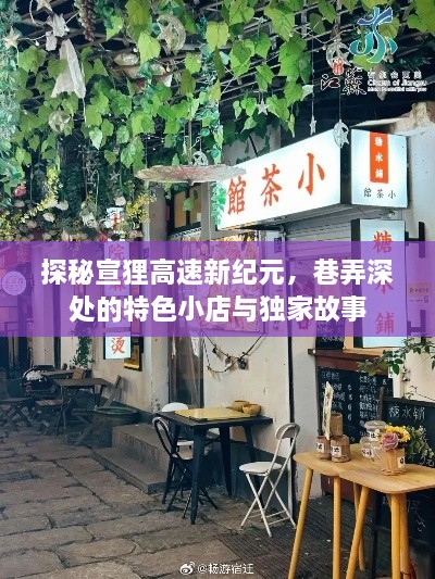 探秘宣狸高速新纪元，巷弄小店的独特风情与故事