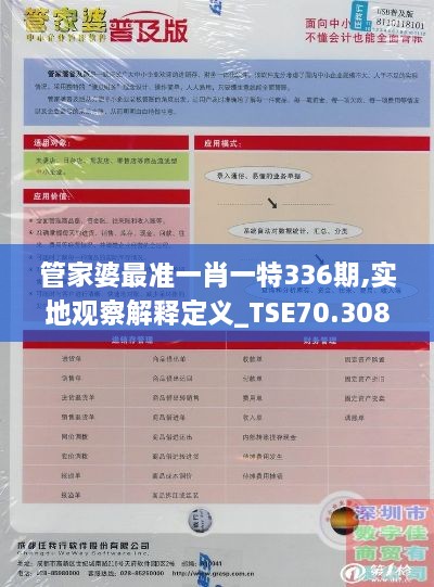 管家婆最准一肖一特336期,实地观察解释定义_TSE70.308分析版