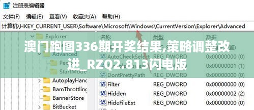 澳门跑图336期开奖结果,策略调整改进_RZQ2.813闪电版