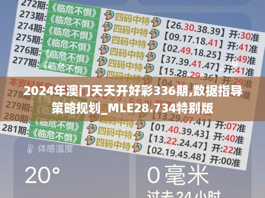 2024年澳门天天开好彩336期,数据指导策略规划_MLE28.734特别版