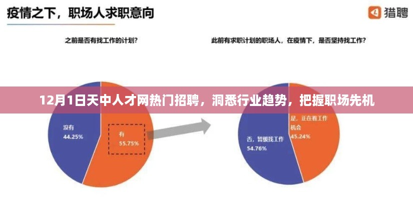 12月1日天中人才网热门招聘，洞悉行业趋势，职场先机大揭秘