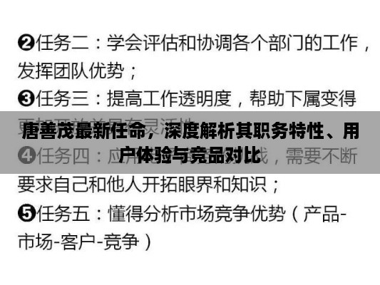 唐善茂新职务深度解析，职务特性、用户体验与竞品对比探究