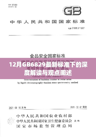 深度解读与观点阐述，GB6829最新标准下的十二月更新分析