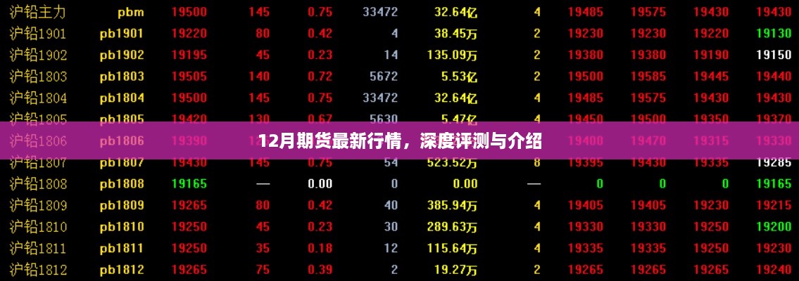 12月期货最新行情深度解析与全面介绍