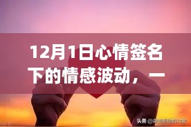 情感波动下的个人情感探讨——12月1日的心情签名