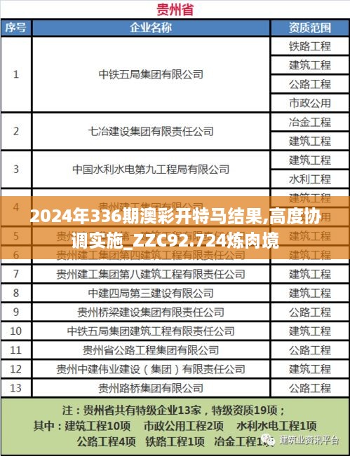 2024年336期澳彩开特马结果,高度协调实施_ZZC92.724炼肉境