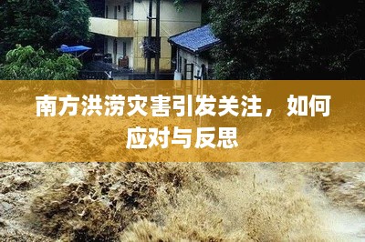 南方洪涝灾害引发关注，应对与反思之道