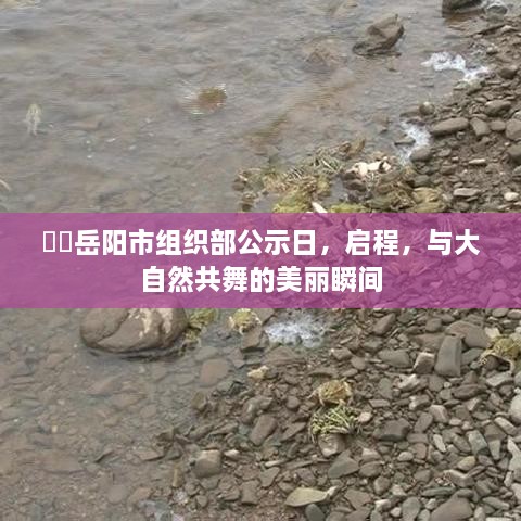 岳阳市组织部公示日，启程共舞自然的美丽瞬间