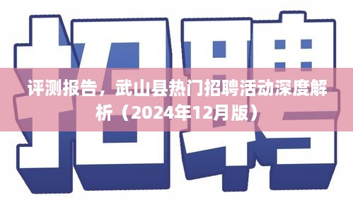 武山县热门招聘活动深度解析与评测报告（2024年12月版）