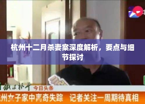 杭州十二月杀妻案深度解析，案件要点与细节探讨