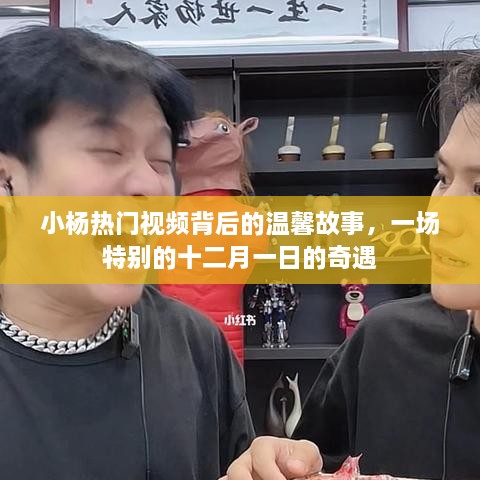 小杨热门视频背后的故事，十二月一日的特别奇遇