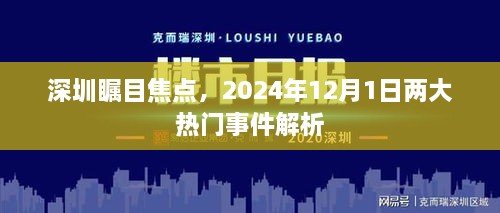 深圳瞩目焦点，两大热门事件解析（2024年12月1日）