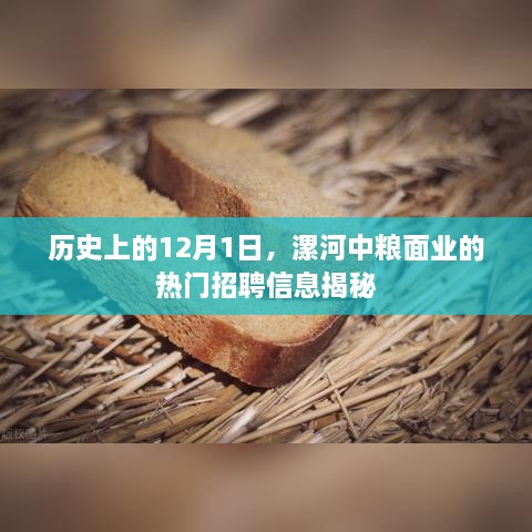 企业动态 第557页