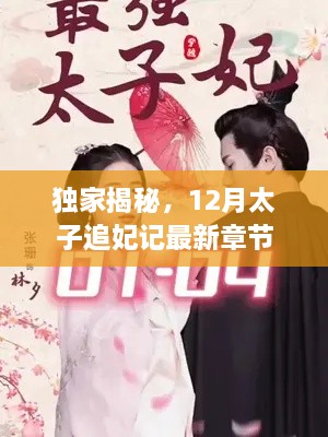 独家揭秘，太子追妃记最新章节曝光（12月版）