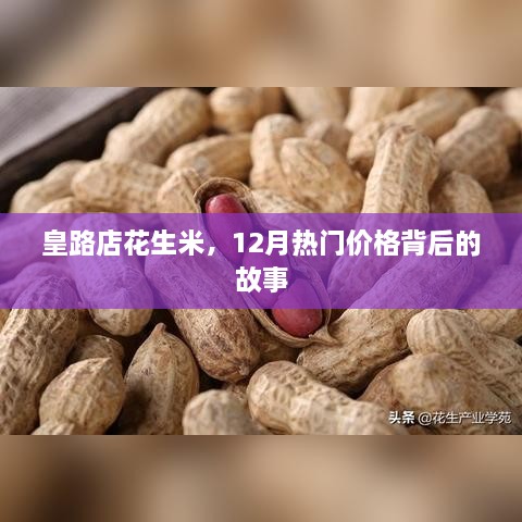 皇路店花生米，揭秘热门价格背后的故事