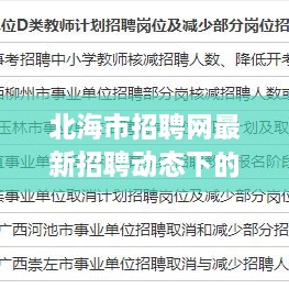 北海市招聘网最新动态下的职场机遇与挑战解析