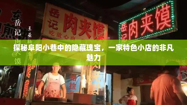 探秘阜阳小巷隐藏瑰宝，一家特色小店的魅力之旅