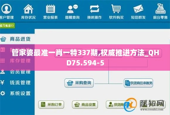 管家婆最准一肖一特337期,权威推进方法_QHD75.594-5