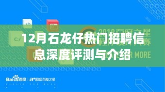 石龙仔热门招聘信息深度评测与详解