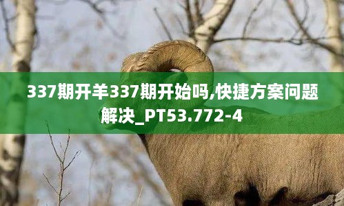 337期开羊337期开始吗,快捷方案问题解决_PT53.772-4