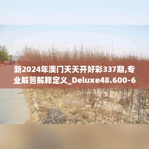 新2024年澳门天天开好彩337期,专业解答解释定义_Deluxe48.600-6