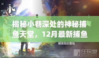 揭秘神秘捕鱼天堂，小巷深处的捕鱼神器体验之旅（12月最新）