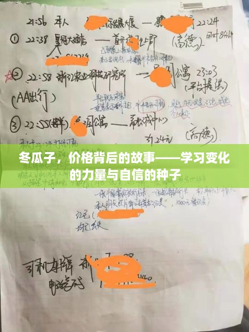 冬瓜子背后的故事，价格、变化与自信的种子探索之旅