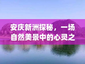 安庆新洲探秘，自然美景的心灵之旅，热门故事开启于2024年12月2日