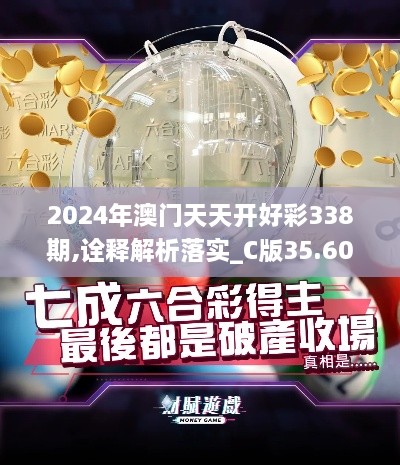 2024年澳门天天开好彩338期,诠释解析落实_C版35.605-6