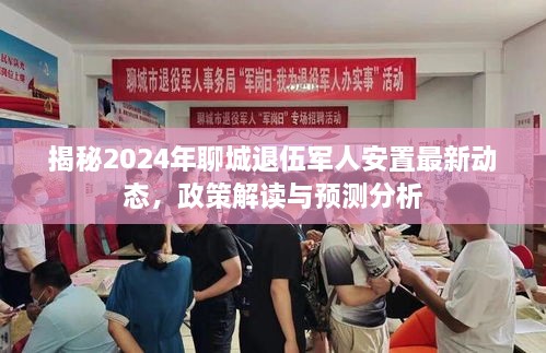 揭秘，聊城退伍军人安置最新动态（2024年政策解读与预测分析）